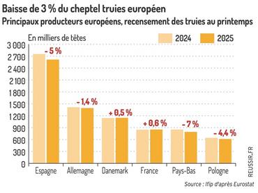<em class="placeholder">Graphique = Baisse de 3 % du cheptel truies européenPrincipaux producteurs européens, recensement des truies au printemps</em>