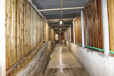 <em class="placeholder">Couloir couvert de transfert reliant les bâtiments sur le site naissage, construit par les salariés, améliorant les conditions d’élevage et de travail. </em>