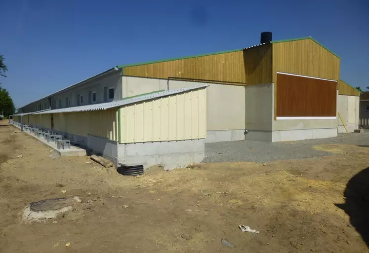 Le nouveau bâtiment d'engraissement des Trinottières dispose de salles de 120 places en cases de quinze porcs. Chaque salle compte quatre racleurs à plat.