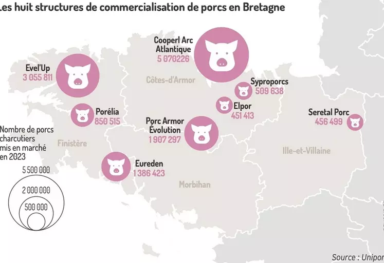 Les huit structures de commercialisation de porcs en Bretagne