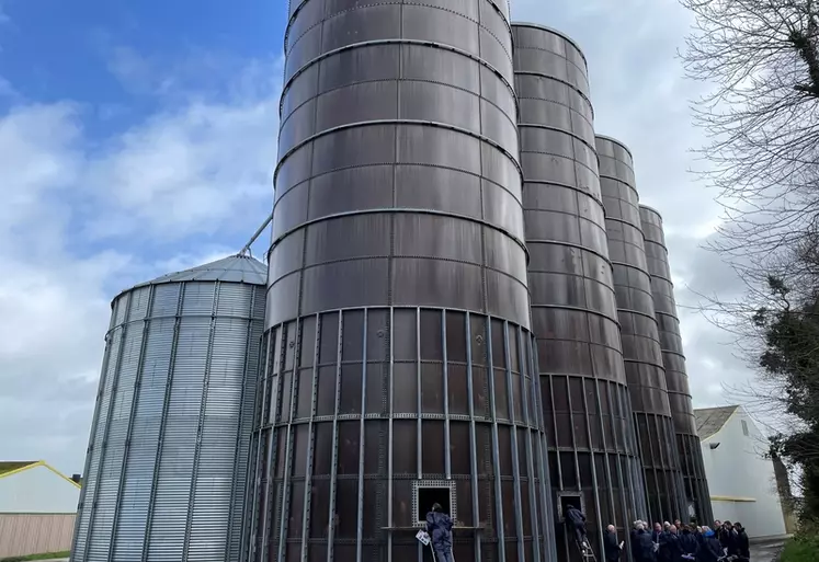 À l'EARL Corre, 100% des céréales sont stockées à l'extérieur, dont une partie du blé et de l'orge en silos tour.
