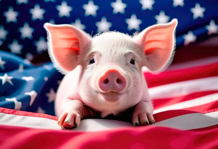 National Pig Day in the USA, little pig, home farm, American flag