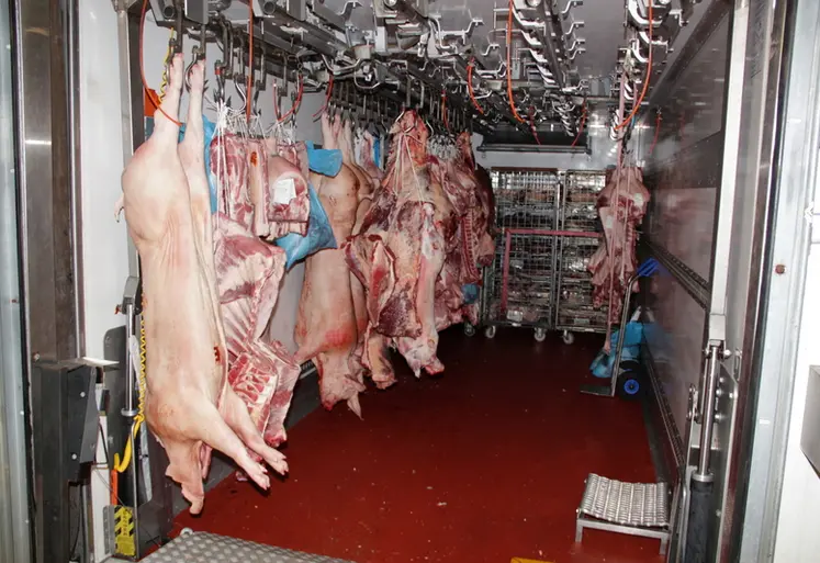 <em class="placeholder">carcasses porc découpe transformation</em>