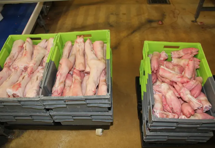 <em class="placeholder">abattoir découpe pieds</em>