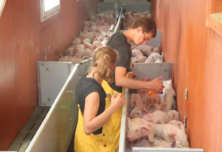 <em class="placeholder">Pour des porcs élevés dans des élevages fermés, la vaccination contre la FPA ne se justifie pas.</em>