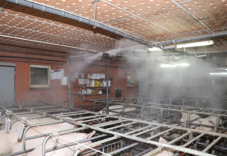 <em class="placeholder">avec la brumisation, la température dans les bâtiment peut baisser de 2 à 5 °C.</em>