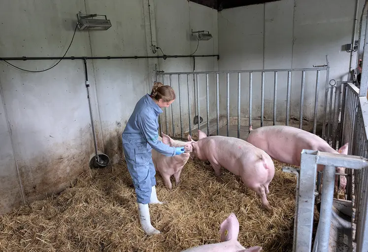 <em class="placeholder">Encore trop de préjugés - Pas assez de travaux des champs</em>