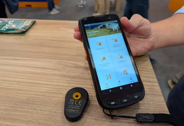 <em class="placeholder">Les boucles auriculaires Bio-Tag transmettent les données de mouvement et de température de la truie au cloud via Bluetooth.</em>