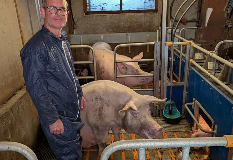 <em class="placeholder">MAternité libertée pour les truies</em>