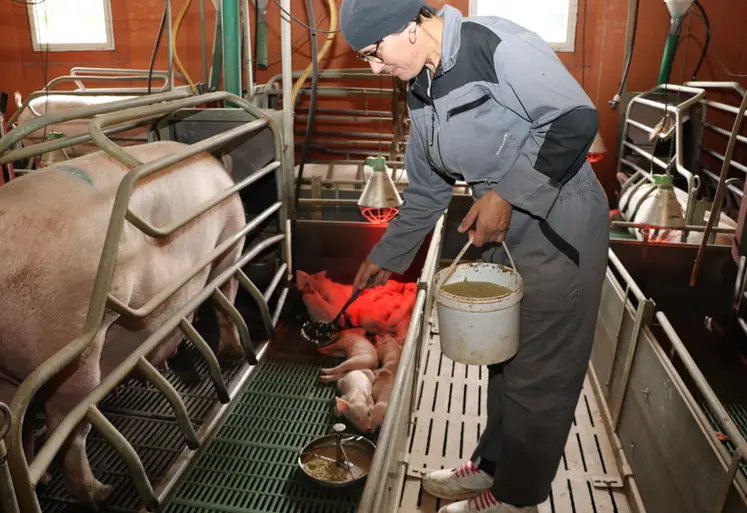 <em class="placeholder">Une distribution des lentilles de gel à la louche deux fois par jour permet de gagner du temps. Le seau contient le volume pour les 66 portées. </em>