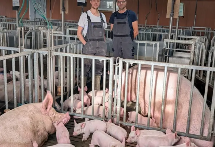 <em class="placeholder">Anthony Ciron et son technicien Laurent Abiven, évaluent positivement les salles de lactation qui apportent un supplément de bien être aux truies et aux porcelets.</em>