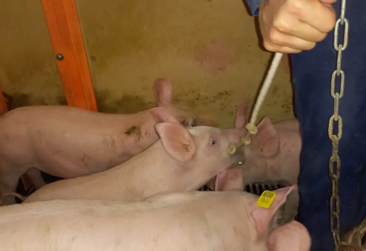 <em class="placeholder">Dès lors que des premières lésions apparaissaient  les salariés ajoutaient un objet supplémentaire chaque jour.</em>