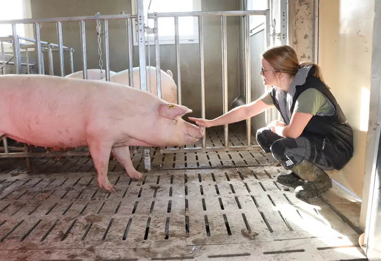 <em class="placeholder">Une cochette apprivoisée se laisse facilement approcher</em>