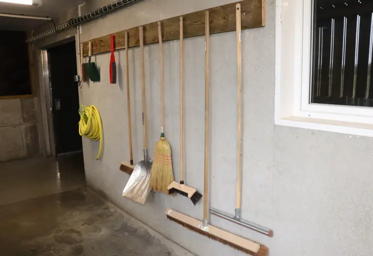 <em class="placeholder">Tanzanie : une nouvelle approche comportementale auprès des éleveurs de porcs pour plus de biosécurité</em>