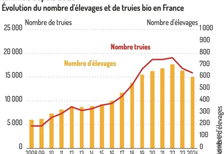 <em class="placeholder">Graphique = Après une phase de croissance, le nombre de truies biodiminue depuis 2023Évolution du nombre d'élevages et de truies bio en France</em>