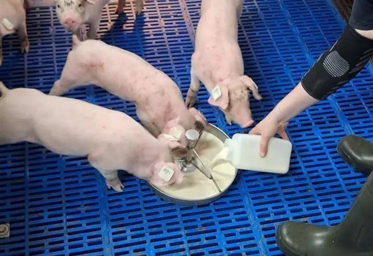 <em class="placeholder">Une distribution précise</em>