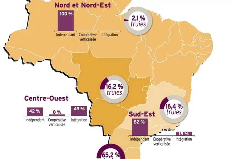 <em class="placeholder">Du soja au jambon : l’ascension du porc brésilien</em>