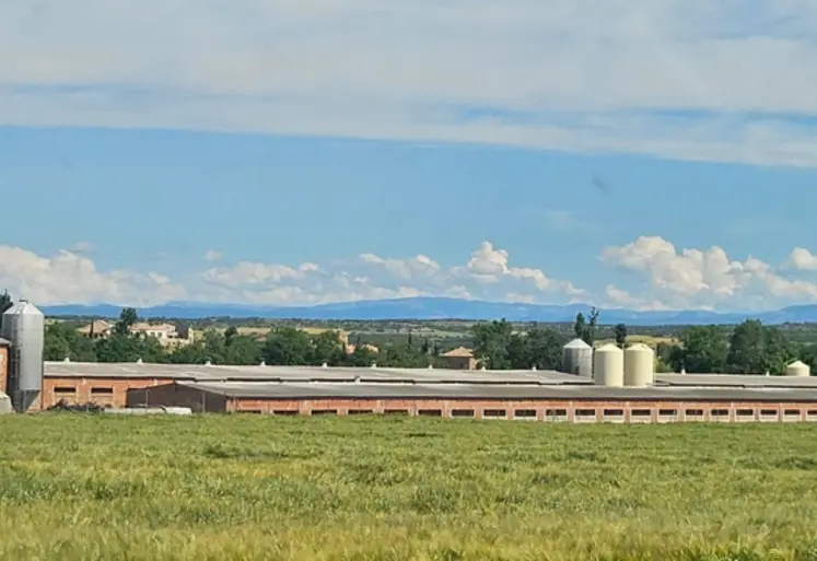 <em class="placeholder">Elevage porcin es Espagne</em>
