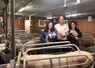 porc élevage maternité porcelet truie