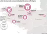 Les huit structures de commercialisation de porcs en Bretagne