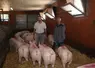 <em class="placeholder">Stéphane Monfort, SCEA Porc Lanvaux (à gauche) et Loïc Havez, Danbred, adaptent l&#039;alimentation des cochettes pour augmenter la longévité des truies.</em>