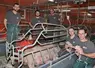 <em class="placeholder">Sébastien, chef d’élevage, à gauche, Léa, Marius, Clément et au fond Laurent Abiven, de Porc Armor Évolution</em>