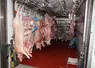 <em class="placeholder">carcasses porc découpe transformation</em>