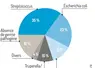 <em class="placeholder">Graphique = Une majorité de germes d’environnementPart des bactéries isolées lors d’arthrites de porcelets sous la mère de 2014 à 2024</em>
