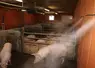 brumisation en élevage porcin lors de fortes chaleurs