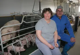 <em class="placeholder">Isabelle et Mickaël Belloeil :« Nous mettons six minutes pour bloquer ou débloquer les 23 truies. » </em>
