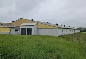 <em class="placeholder">Coupler l’installation d’un « cooling » avec une bande enherbée devant les entrées d’air peut être une solution intéressante pour refroidir l’air entrant.</em>