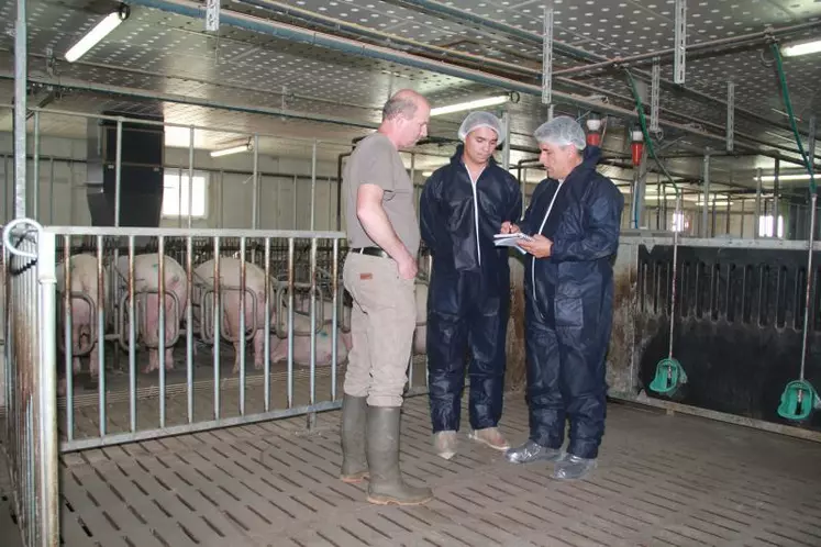 Chez Alain Vérité, la nouvelle configuration de l'élevage a permis d'améliorer les conditions de travail.