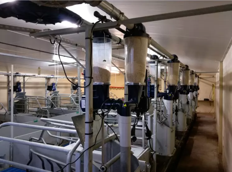 Les alimentateurs Gestal Quattro installés à Saint-Gilles vont permettre aux chercheurs de travailler simultanément en mélange de deux aliments. © Inra