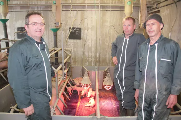 Dominique Marchand (à gauche), Samuel Legoupil et Didier Fleury (le salarié de l’élevage) « Le premier objectif des mesures de biosécurité spécifiques est de limiter la transmission du streptocoque de la truie aux porcelets » © D. Poilvet