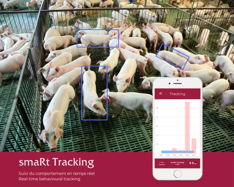 Smart Tracking détecte en amont des anomalies comportementales  des animaux. © Ro-Main