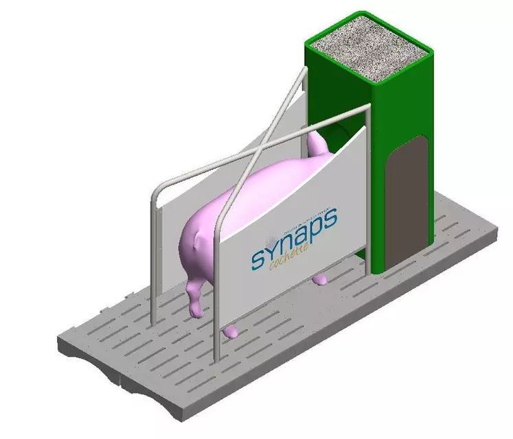 Le Dac synaps cochette permet une alimentation sur mesure. © Calipro