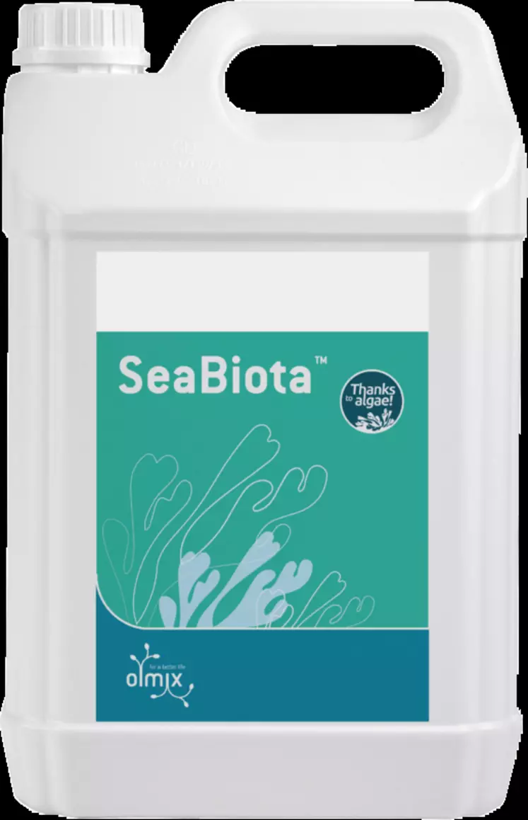 SeaBiota protège le tractus digestif, favorise l’équilibre de la flore intestinale et apporte de l’énergie aux porcelets post-sevrés. © Olmix