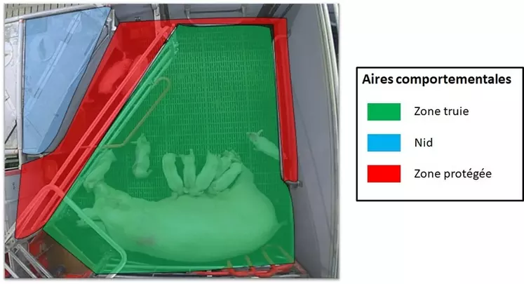 La case est filmée pendant trois jours. Les différentes postures de la truie ainsi que la position des porcelets dans les trois zones sont relevées. © chambre d'agriculture de ...