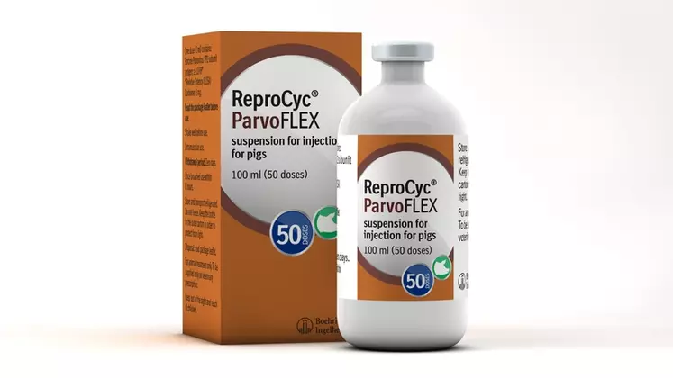 Reprocyc Parvoflex peut être associé au vaccin contre le SDRP de Boehringer. © Boehringer Ingelheim
