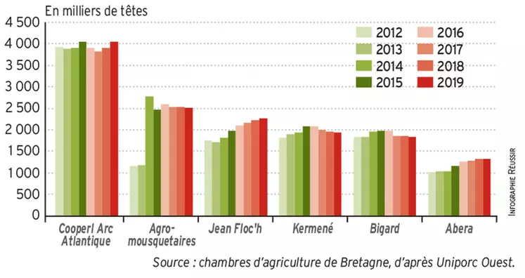 Évolution des abattages de porcs des principaux groupes en Bretagne © Chambre d'agriculture de ...