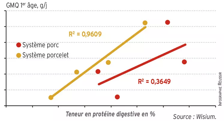 La teneur en protéine digestible des aliments formulés avec la matrice "porcelet" et mieux corrélée avec le GMQ que celle des aliments de la matrice "porc charcutier"GMQ des porcelets en fonction de la teneur en protéine digestible des aliments © Wisium