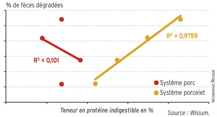 La présence de diarrhée est directement corrélée avec la teneur en protéine digestible "porcelet" de l’alimentPourcentage de fécès dégradées en fonction de la protéine digestible des aliments © Wisium