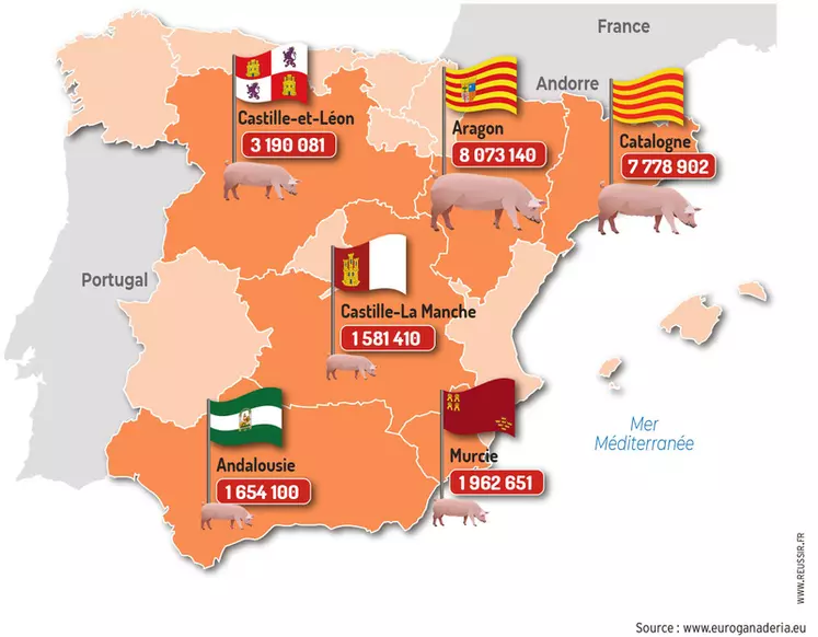 Le cheptel porcin en EspagneL’Aragon première région productrice devant la Catalogne © www.euroganaderia.eu
