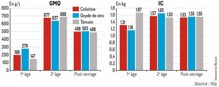 Performances techniques selon le traitementAvec l'oxyde de zinc, amélioration des performances en 1er âge, mais dégradation en 2e âge. © Ifip