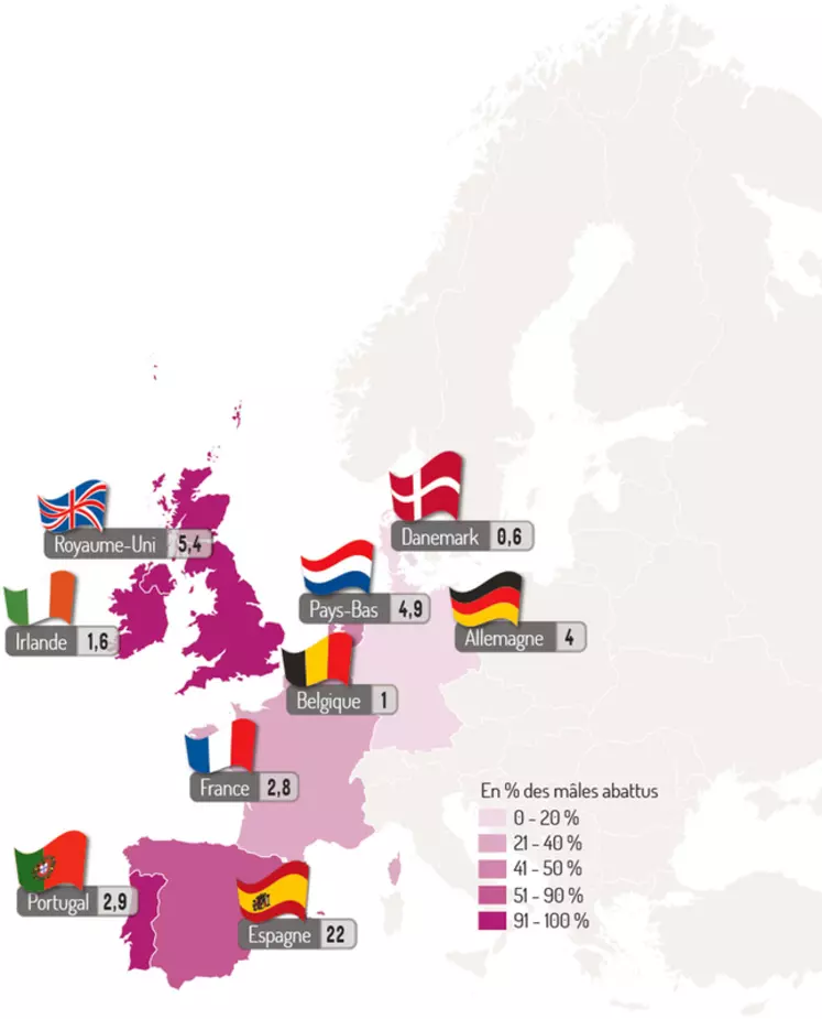 Nombre de porcs mâles entiers abattus par pays en Europe (en million)  © Ifip