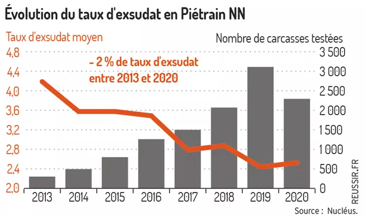 Évolution du taux d’exsudat en Piétrain NN-2 % de taux d’exsudat sur les carcasses de Piétrain NN entre 2013 et 2020 © Nucléus
