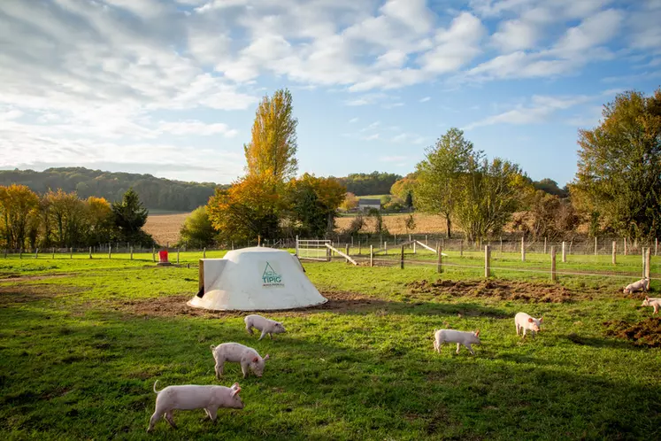 L'élevage de Théligny utilise un nouveau concept de cabane monocoque isolée pour les truies. © F. Devoir