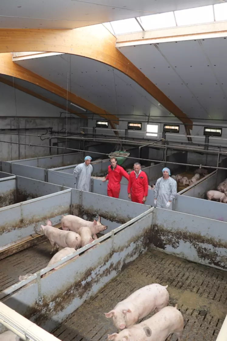 "Plus de bien-être animal, moins d’impact environnemental dans notre élevage de porcs"