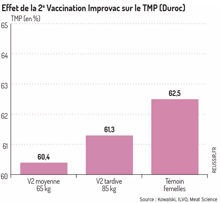 Un protocole de vaccination Improvac pour chaque marché