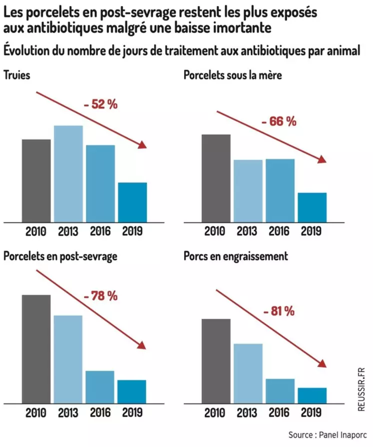 Forte baisse de l’usage d’antibiotiques en dix ans dans les élevages de porcs